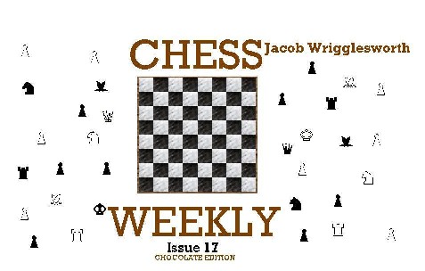 Issue 17